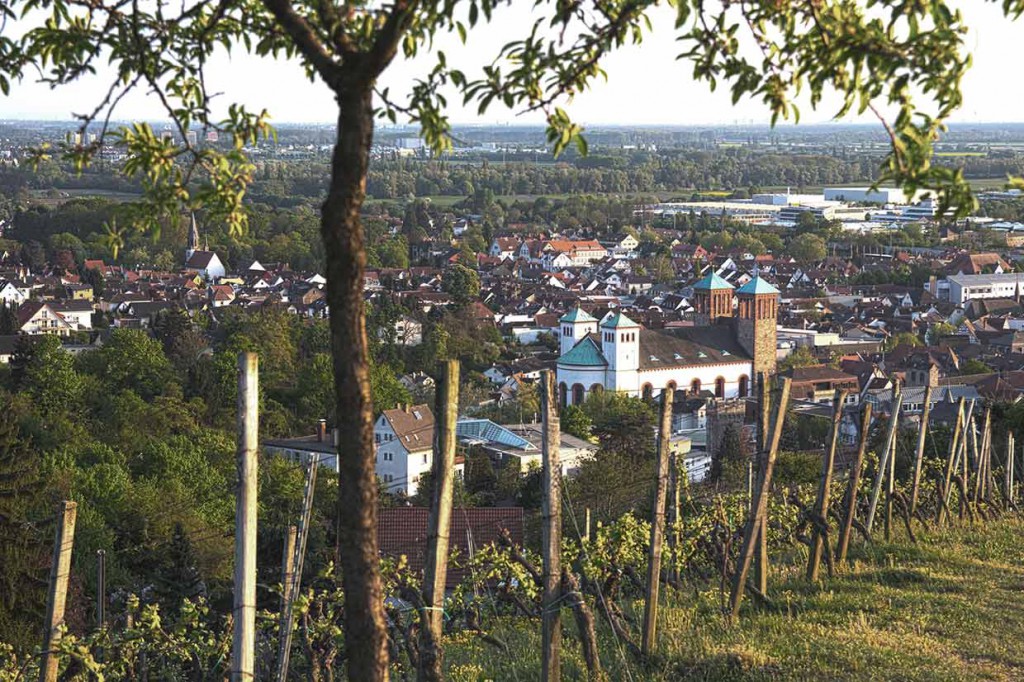 Blick vom Kirchberg auf Bensheim - der Kirchberg ist ein beliebtes Ausflugsziel für unsere Feriengäste